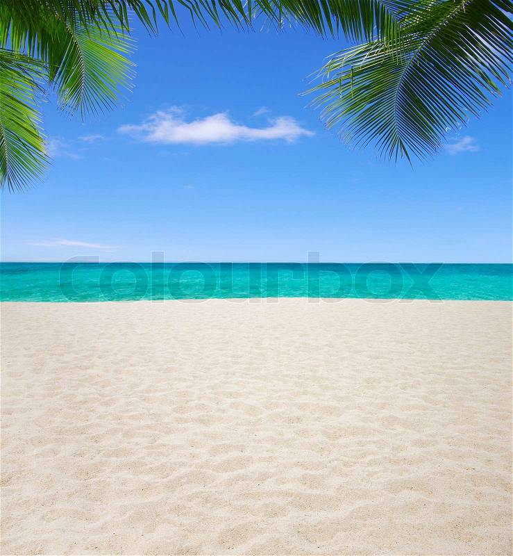 Beach and tropical sea, stock photo