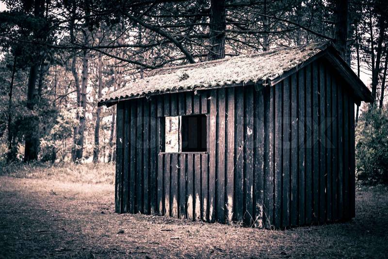 Spooky cabin in a dark and mysterious forest, stock photo