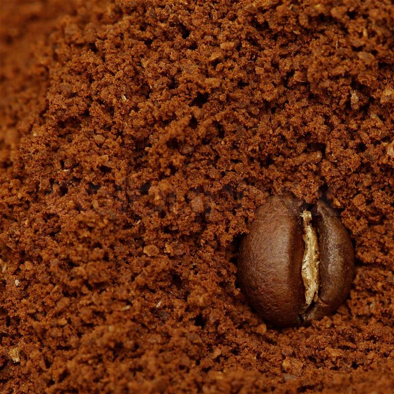 Macro coffee bean on ground background, stock photo