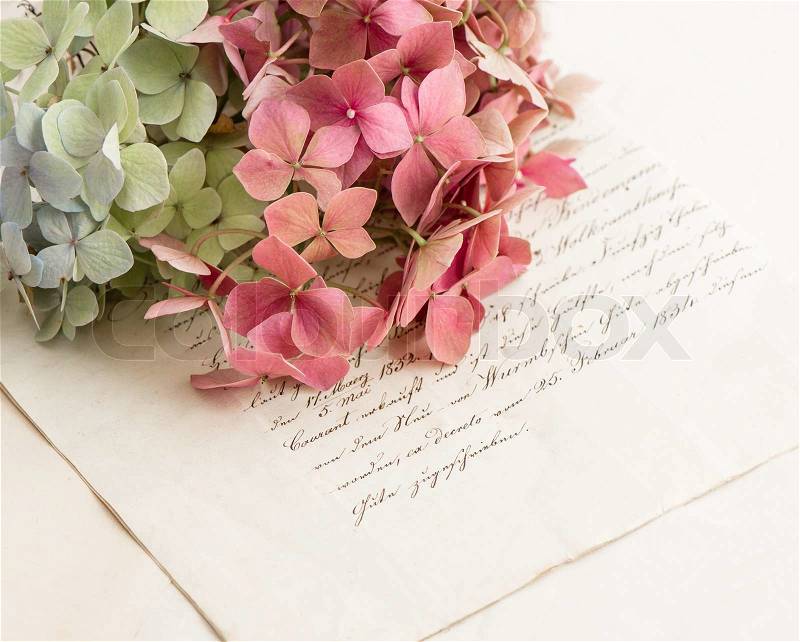 Old love letters and flowers of garden hortensia. romantic vintage style background. selective focus, stock photo