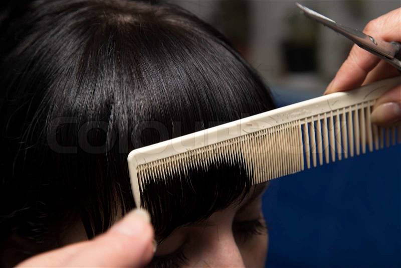 Haircut at the barber scissors, stock photo