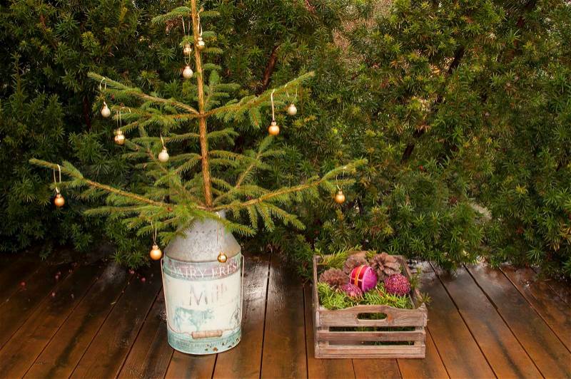 A small christmas tree and a box with pine and christmas bulbs in a garden. Without snow, stock photo