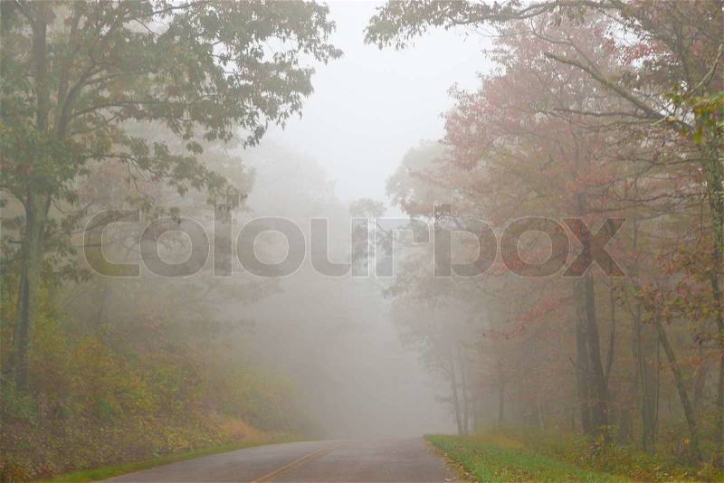 Road in the foggy forest. Autumn landscape, stock photo