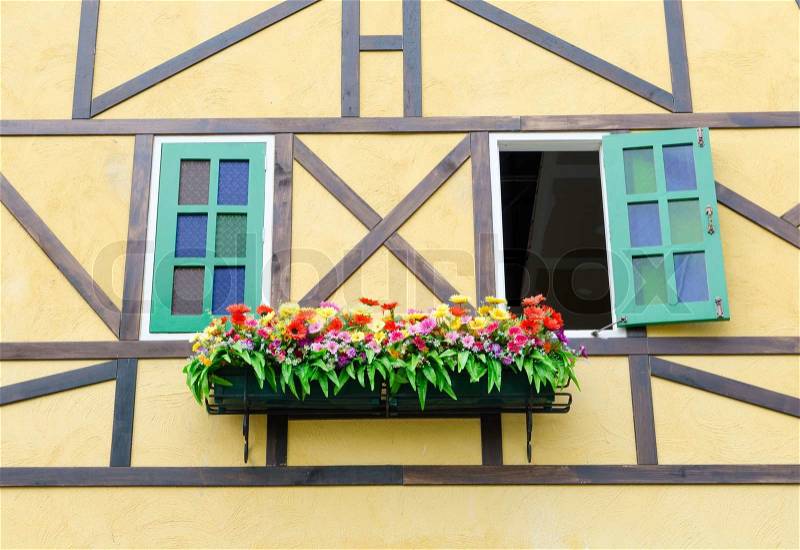Two window with flower box, stock photo