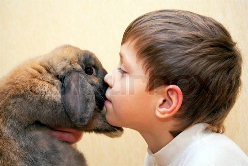 The little boy kissing rabbit. Love for animals concept, stock photo