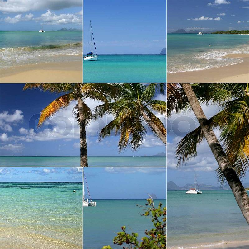 Palm trees, exotic island, pleasure boats, stock photo
