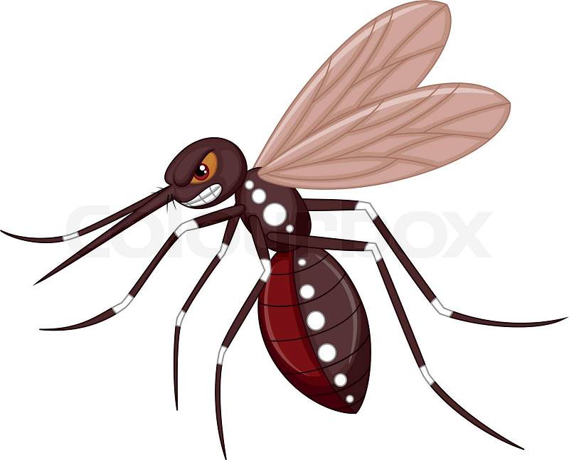 clipart mosquito cartoon - photo #22