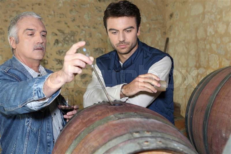 An oenologist and a wine producer, stock photo