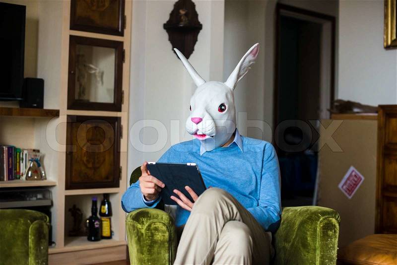 Elegant business multitasking rabbit mask man using devices at home, stock photo