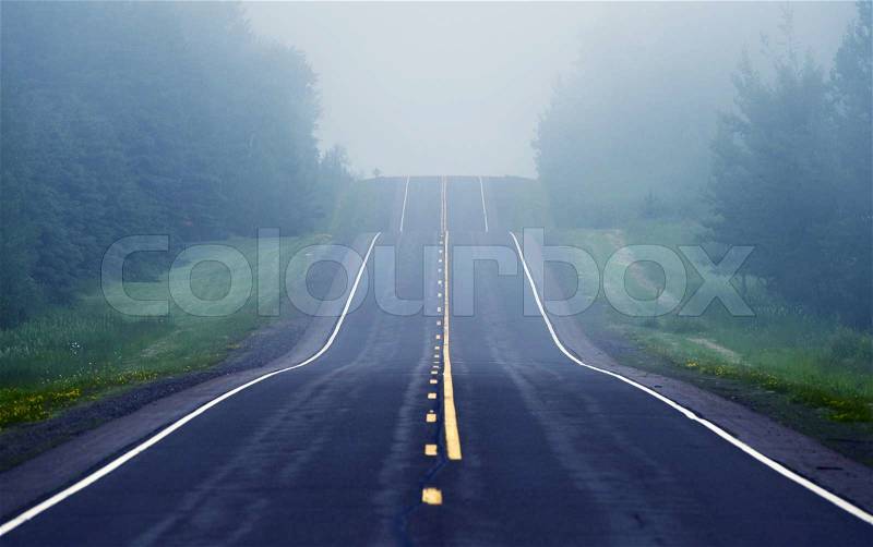 Foggy Road Ahead. Road Through Minnesota Wilderness. , stock photo