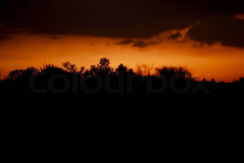 Desert Silhouette Background - Mojave Desert Sunset Silhouette. Nature Photo Collection, stock photo