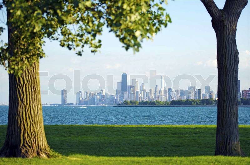 Chicago and Lake Michigan. Grassy Field and Old Trees on the First Plan, Lake Michigan and Downtown Chicago Skyline in the Distance, stock photo