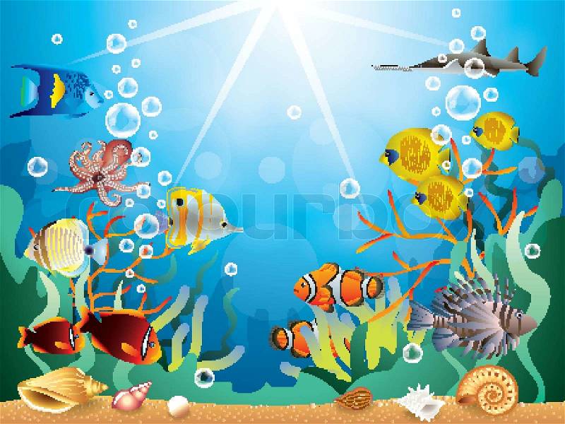 underwater clipart images - photo #15