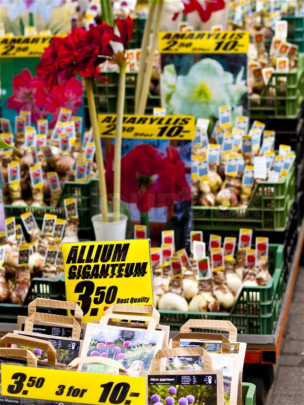 Amsterdam Flower Market, stock photo