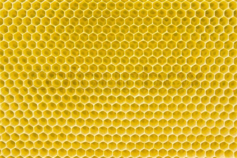 Honeycomb pattern with yellow empty cells in daylight, stock photo