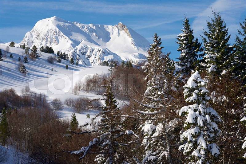 Winter landscape, valley of Aspe, Pyrenees, France, stock photo