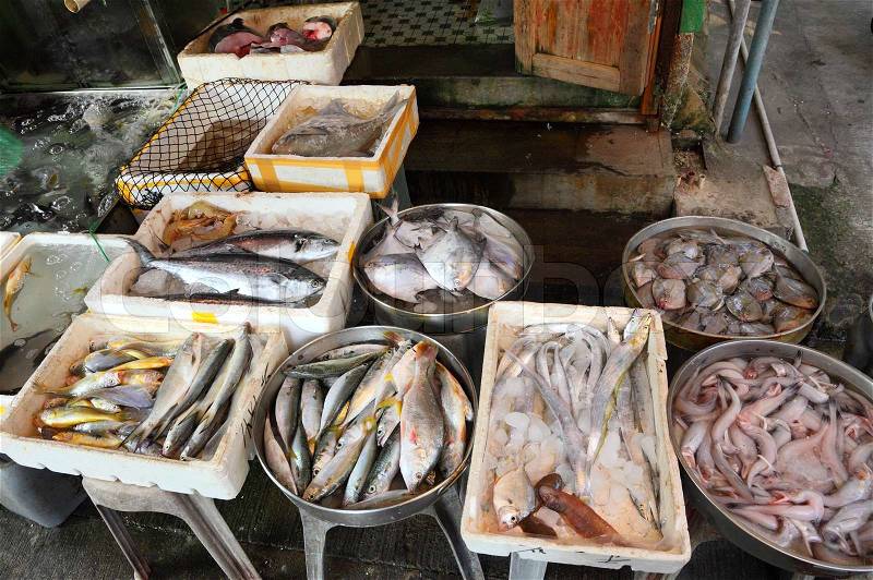 Fresh fish for sale in chinese fishing village Tai O, Hong Kong, stock photo