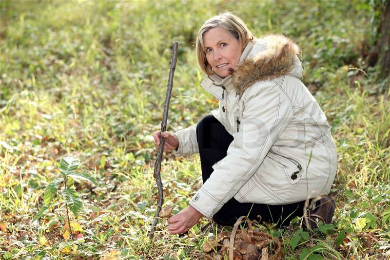 Woman hunting for wild mushrooms, stock photo