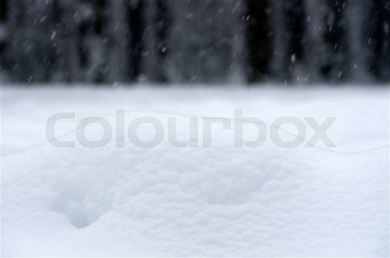 Winter background with snow texture close up, stock photo