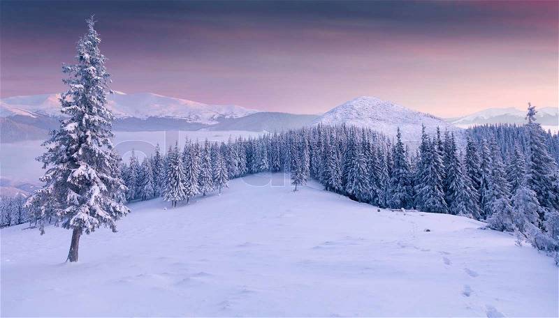 Panorama of the winter sunrise; in the mountains, stock photo