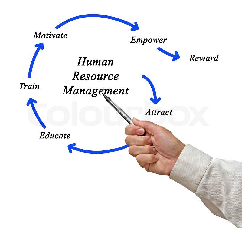 Human resource management, stock photo