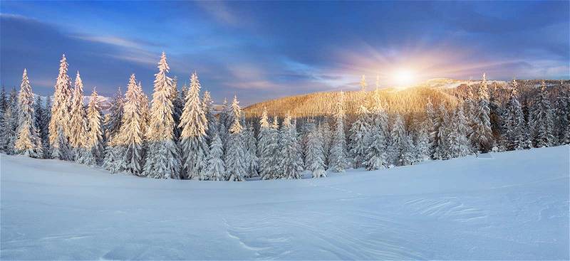 Panorama of the winter sunrise in mountains, stock photo