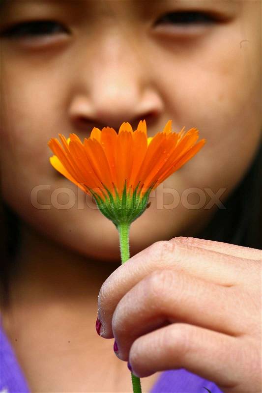 Close up of face of child hand picking up a a daisy flower, stock photo