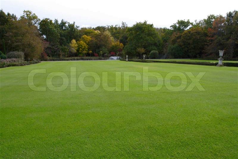 Big grass-plot with neatly cutted grass edged by the trees , stock photo