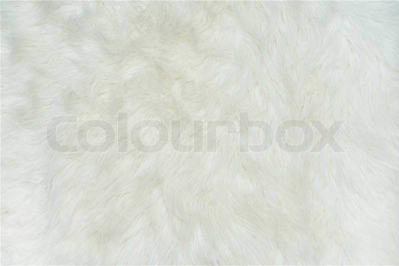Sheepskin Sheep Coat Background. Animal Fur Background, stock photo