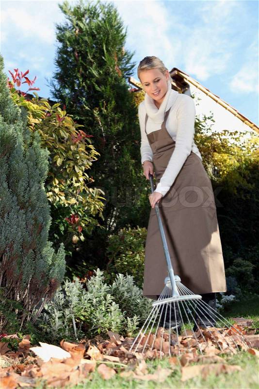 Woman gardening with rake, stock photo