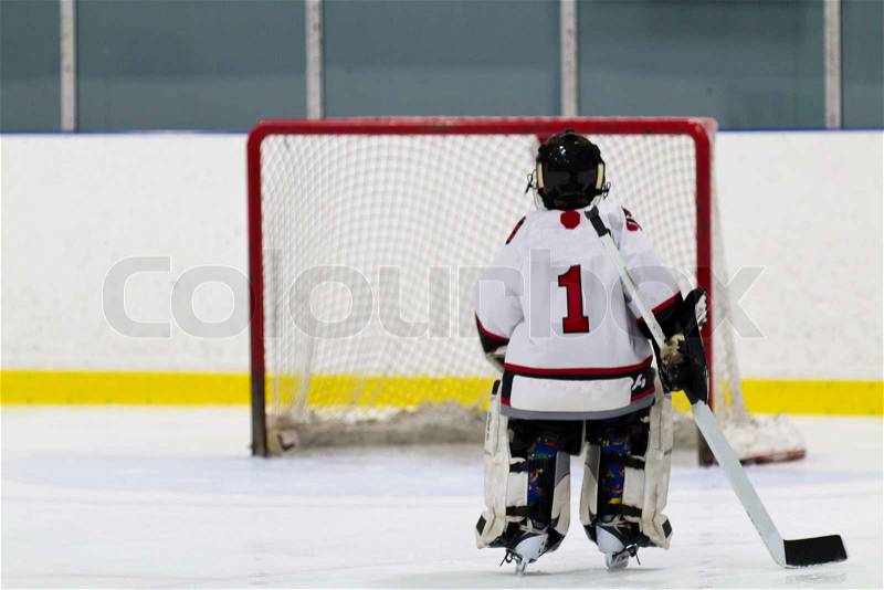 Hockey goalie skating the net, stock photo