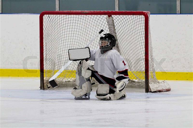 Ice hockey goaltender in front of net, stock photo