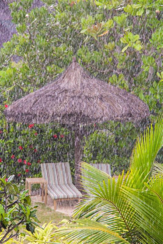 Strong tropical rain in the Seychelles, stock photo