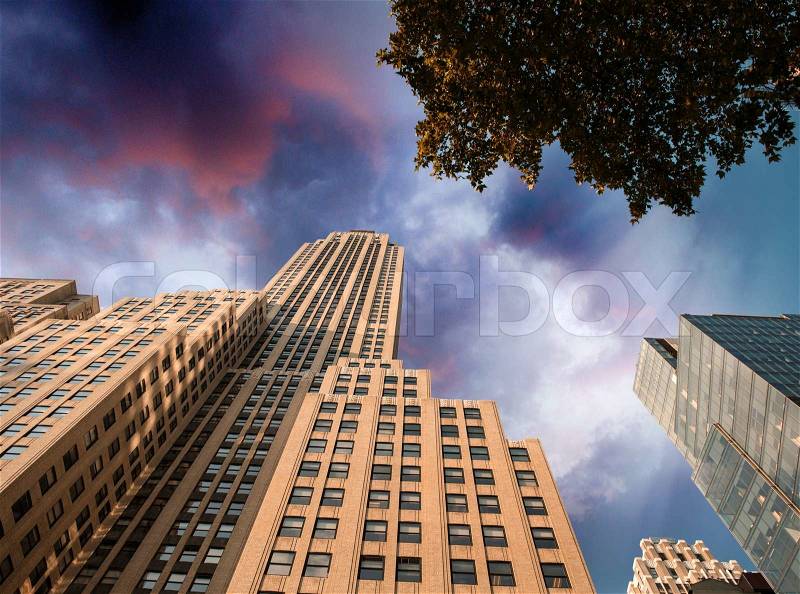 Manhattan buildings as seen from below, New York from street level, stock photo
