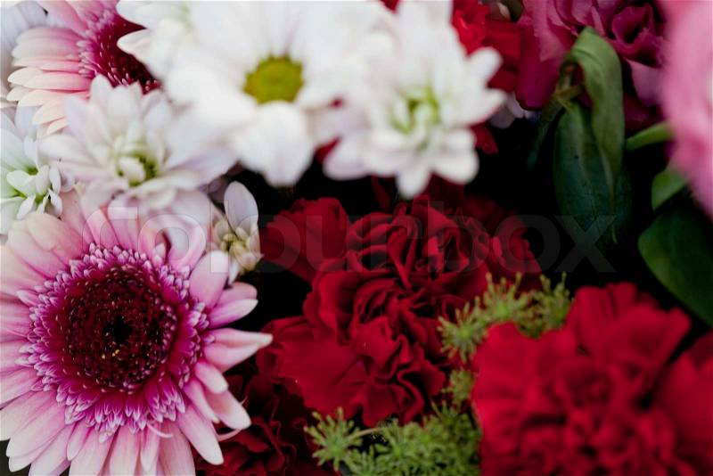 Beautiful colorful collection of flowers spring summer celebration card macro, stock photo