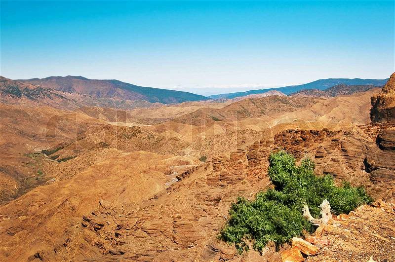 Lonely tree against red mountains, a mountain landscape, stock photo