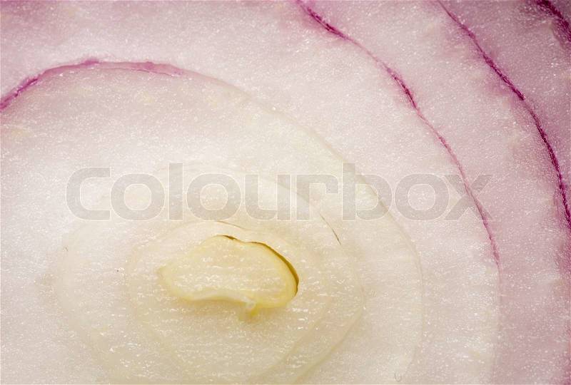 Red Onion Slice cross section, macro background closeup, stock photo