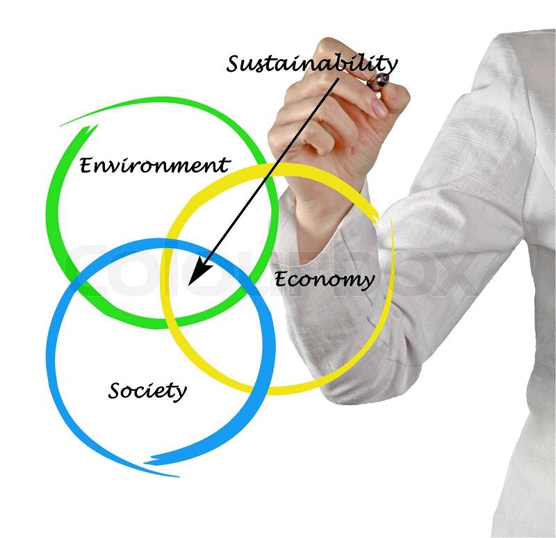 Presentation of diagram of sustainability, stock photo