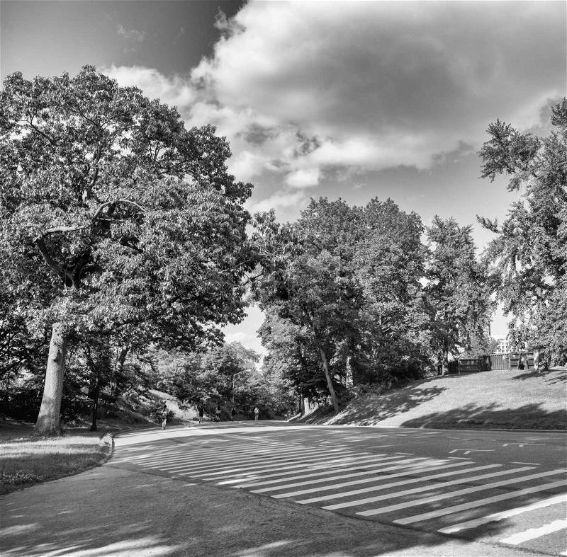 Trees, meadows and roads of Central Park - Manhattan, New York City, stock photo