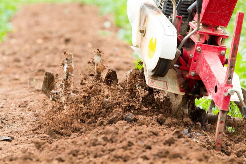 Small rotary cultivator working in garden, stock photo
