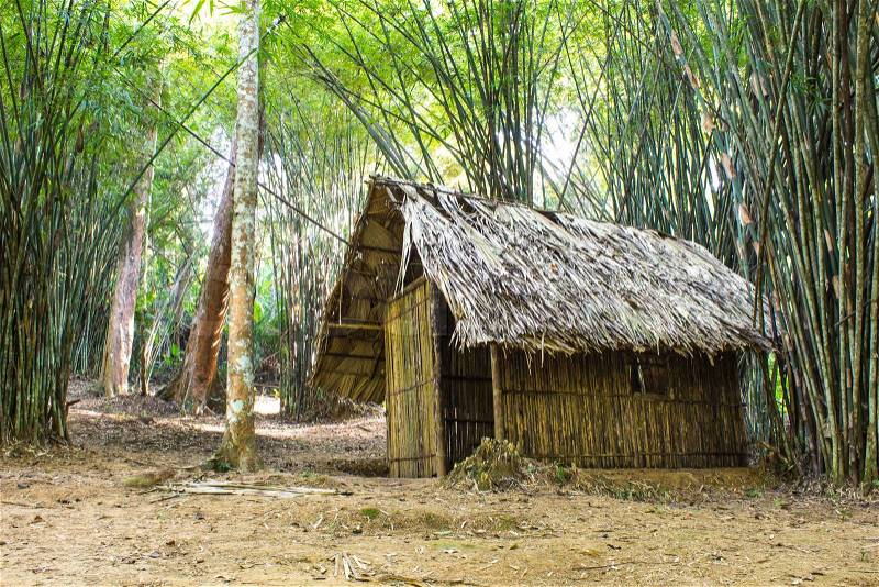 Cottage In the bamboo forest, stock photo