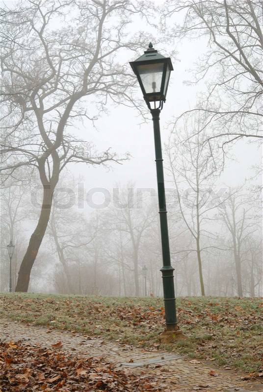Street lamp and leafless trees in autumn fog, stock photo