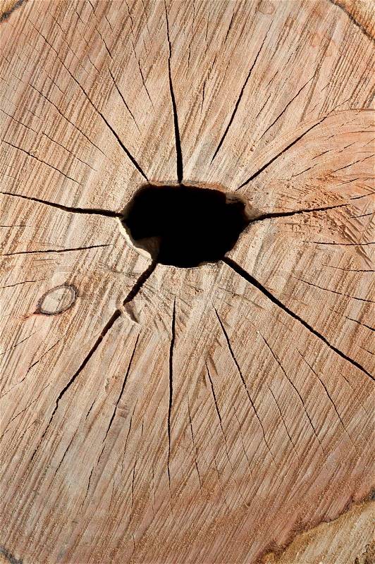 Detail of cut out log texture with hole, stock photo