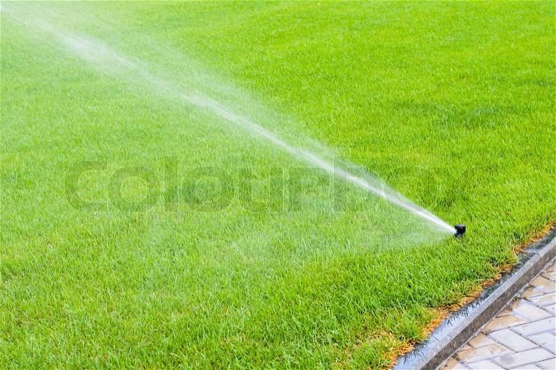 Sprinkler system working on fresh green grass, stock photo