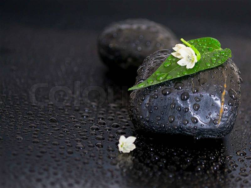 Black stones with leaf, flower and water drops on black background, stock photo