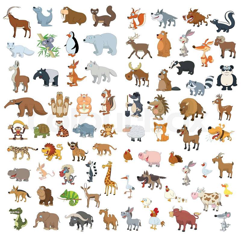 clipart of animals and their homes - photo #35