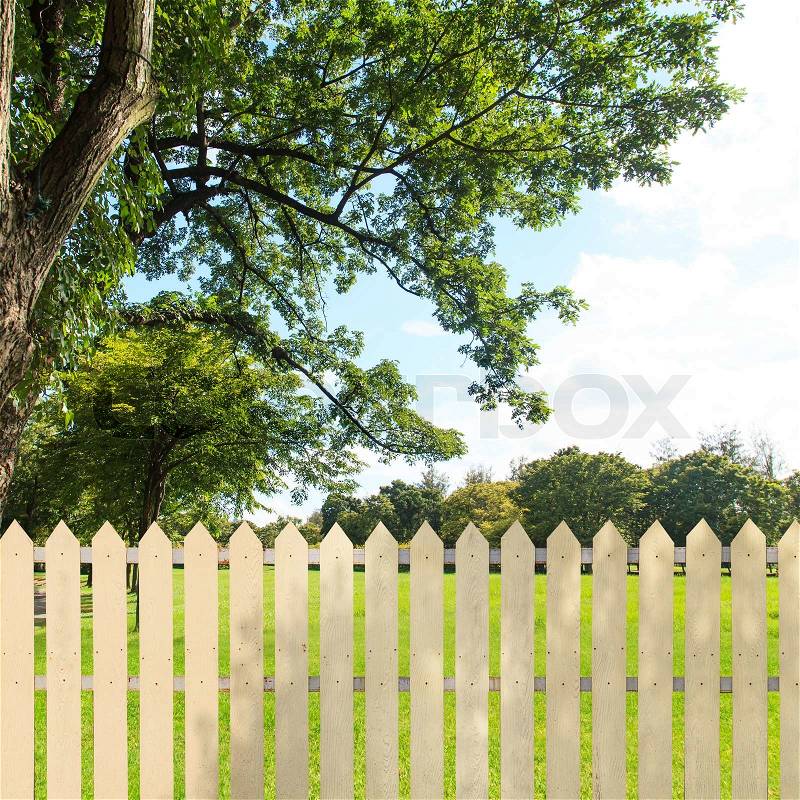 White fences in the garden, stock photo