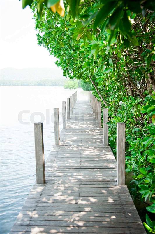 Wooden bridge for walking and nature study, stock photo