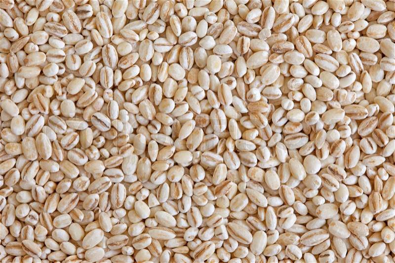 Pearl barley (pearled barley) texture background. Cooked mainly in soups and stews, also as an ingredient for stuffing cooked potages or sweet dishes. , stock photo