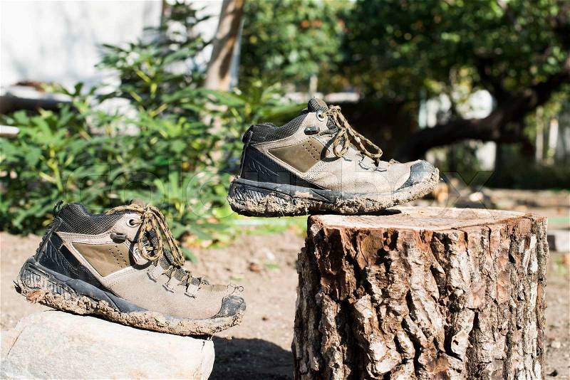 Brown hiking shoes on a stump in the forest, stock photo